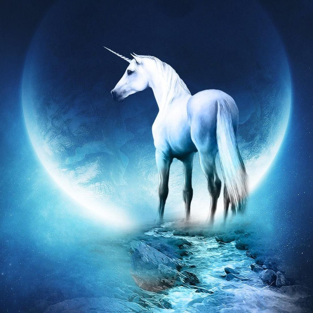Download Fantasy Horse Fantasy Animals Hd Wallpaper  Background Image  Wallpaper  Wallpaperscom