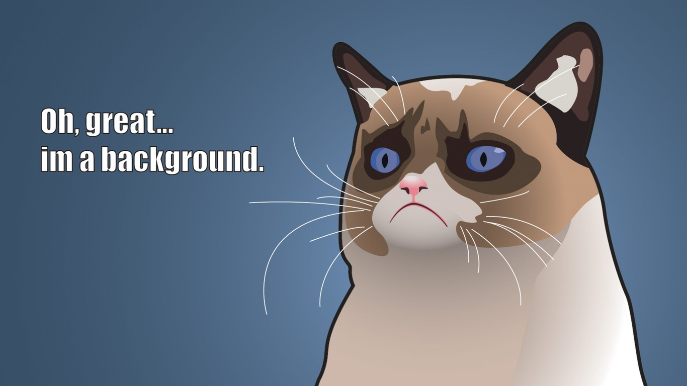 Download Angry Cat Meme Funny, Angry, Cat, Meme, Funny Wallpaper in  1366x768 Resolution