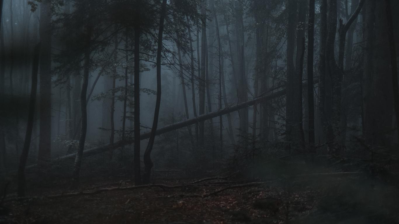 Download Dark forest, Gloomy, Forest Wallpaper in 1366x768 Resolution Download Dark forest, Gloomy, Forest Wallpaper in 1366x768 Resolution