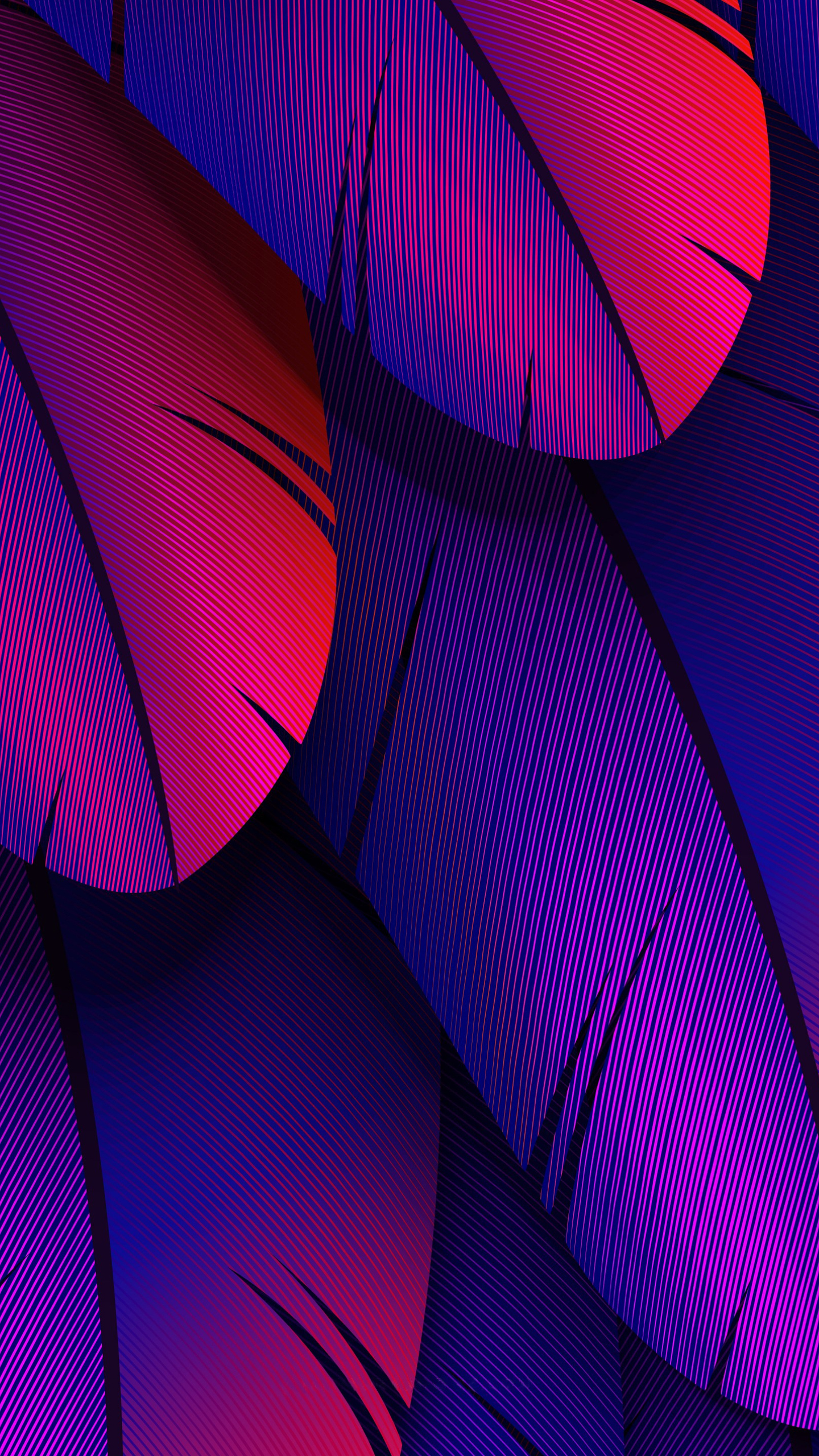 Download Colorful Feathers, Colorful, Feathers, Feather, Abstraction, 3d,  2K, 3K, 4K, 5K Wallpaper in 1440x2560 Resolution