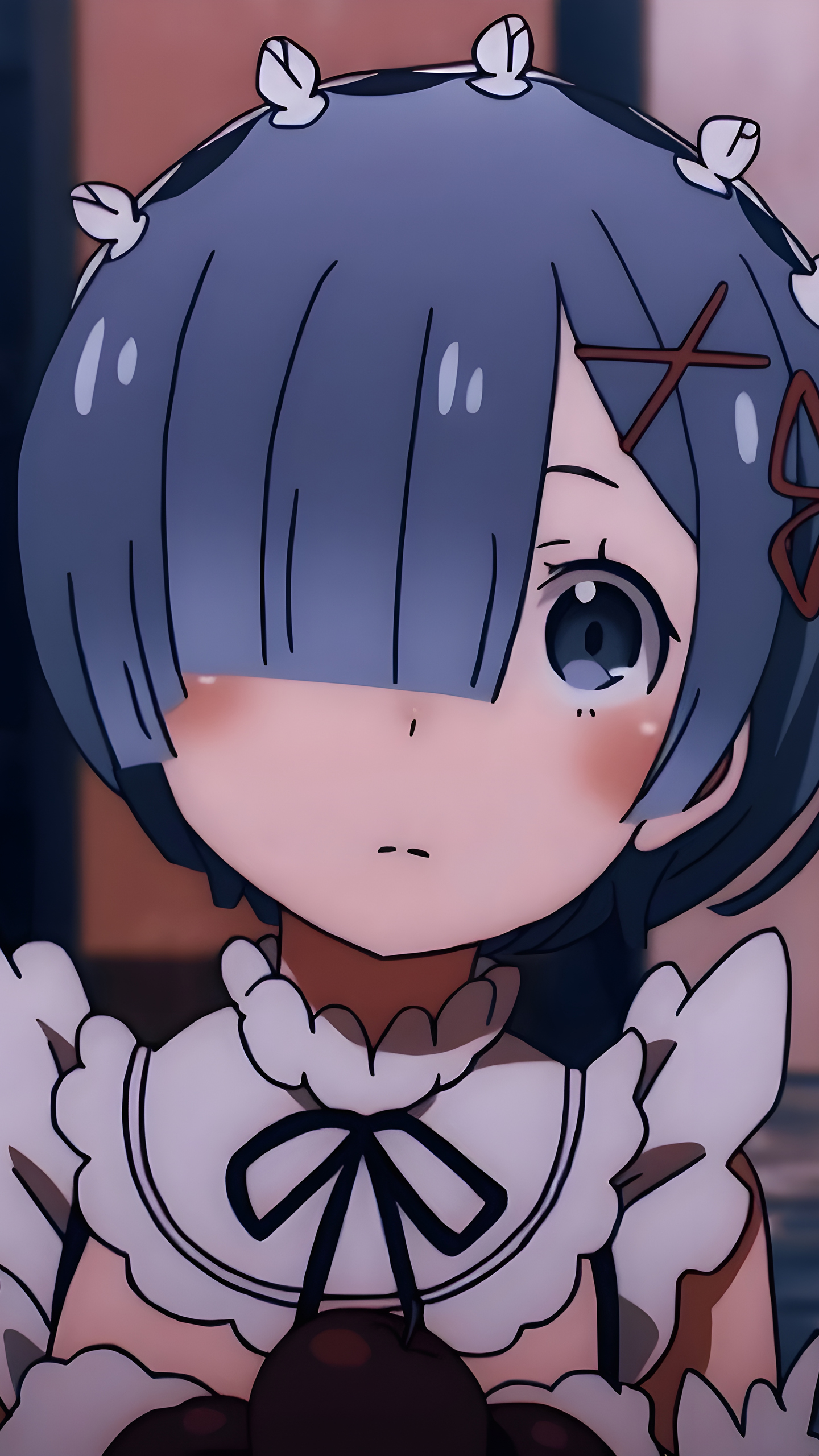 Скачать обои Рем Из Re: Zero, Рем, Re: Zero, Аниме в разрешении 1440x2560  на рабочий стол