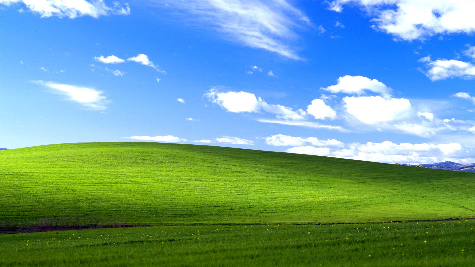 Скачать обои Windows Xp Bliss, Windows, Xp, Bliss в разрешении 1920x1080 на  рабочий стол