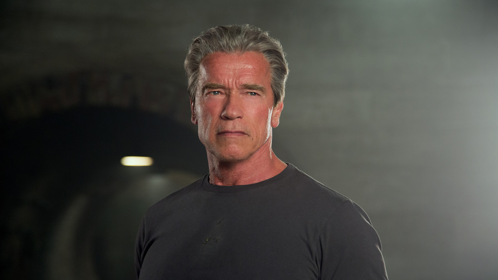 arnold-schwarzenegger-wallpaper-1920x1080-arnold-schwarzenegger