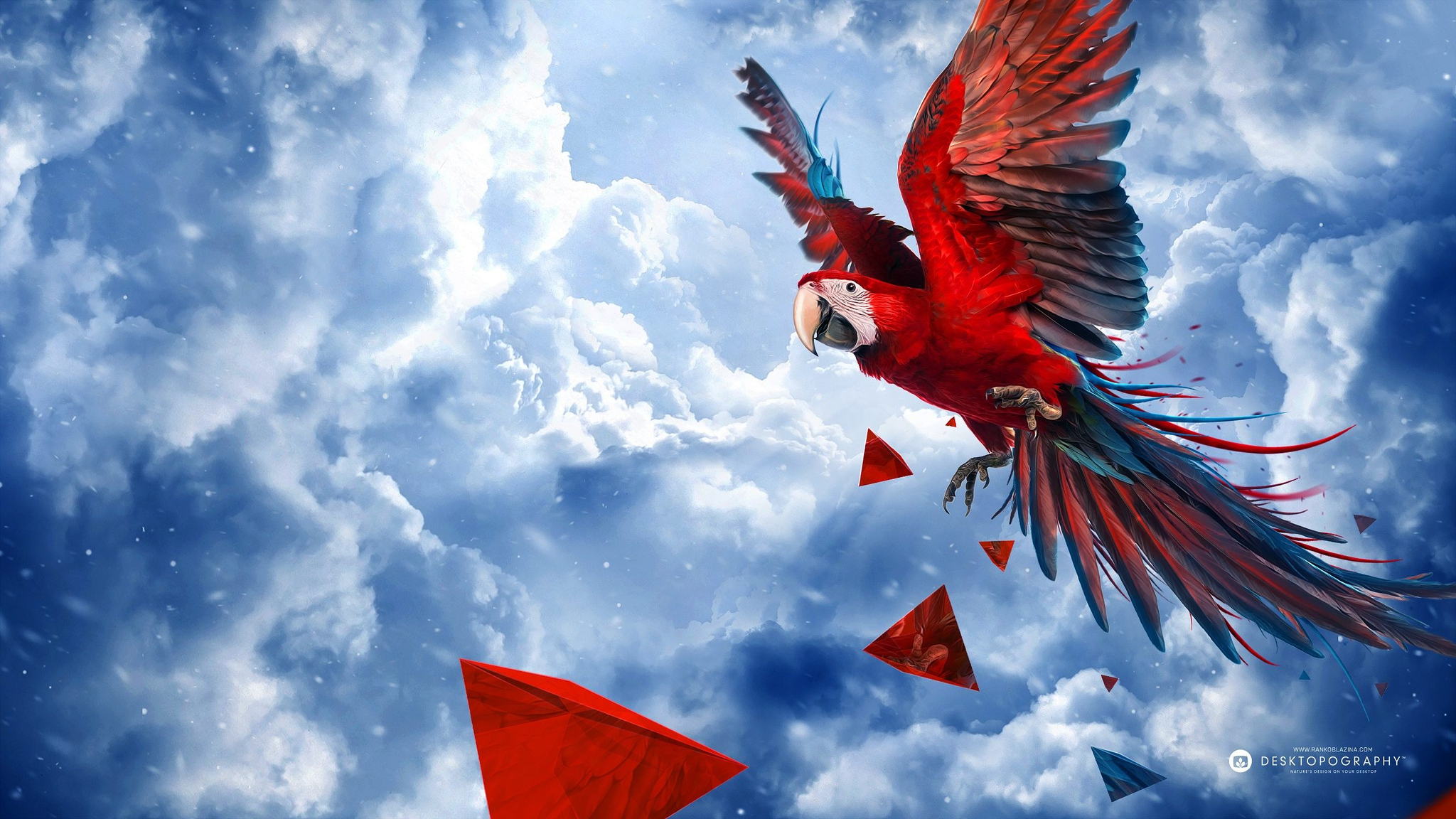 Download Scarlet Macaw Bird, Scarlet, Macaw, Bird Wallpaper in 2048x1152  Resolution
