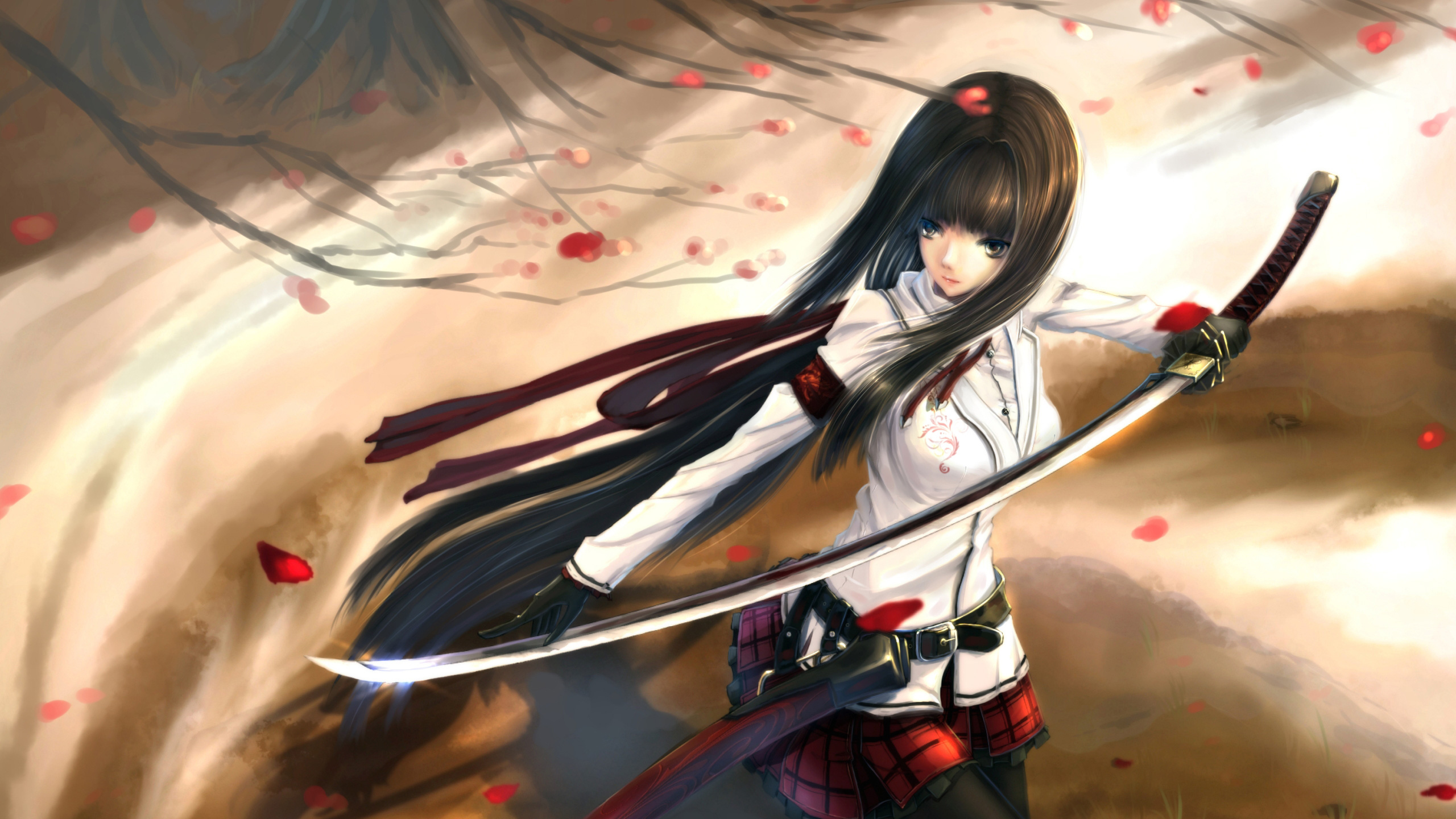 Скачать обои Anime Girl Katana Sword Long Hair, Аниме, Девушка, Katana,  Sword, Long, Hair в разрешении 2560x1440 на рабочий стол