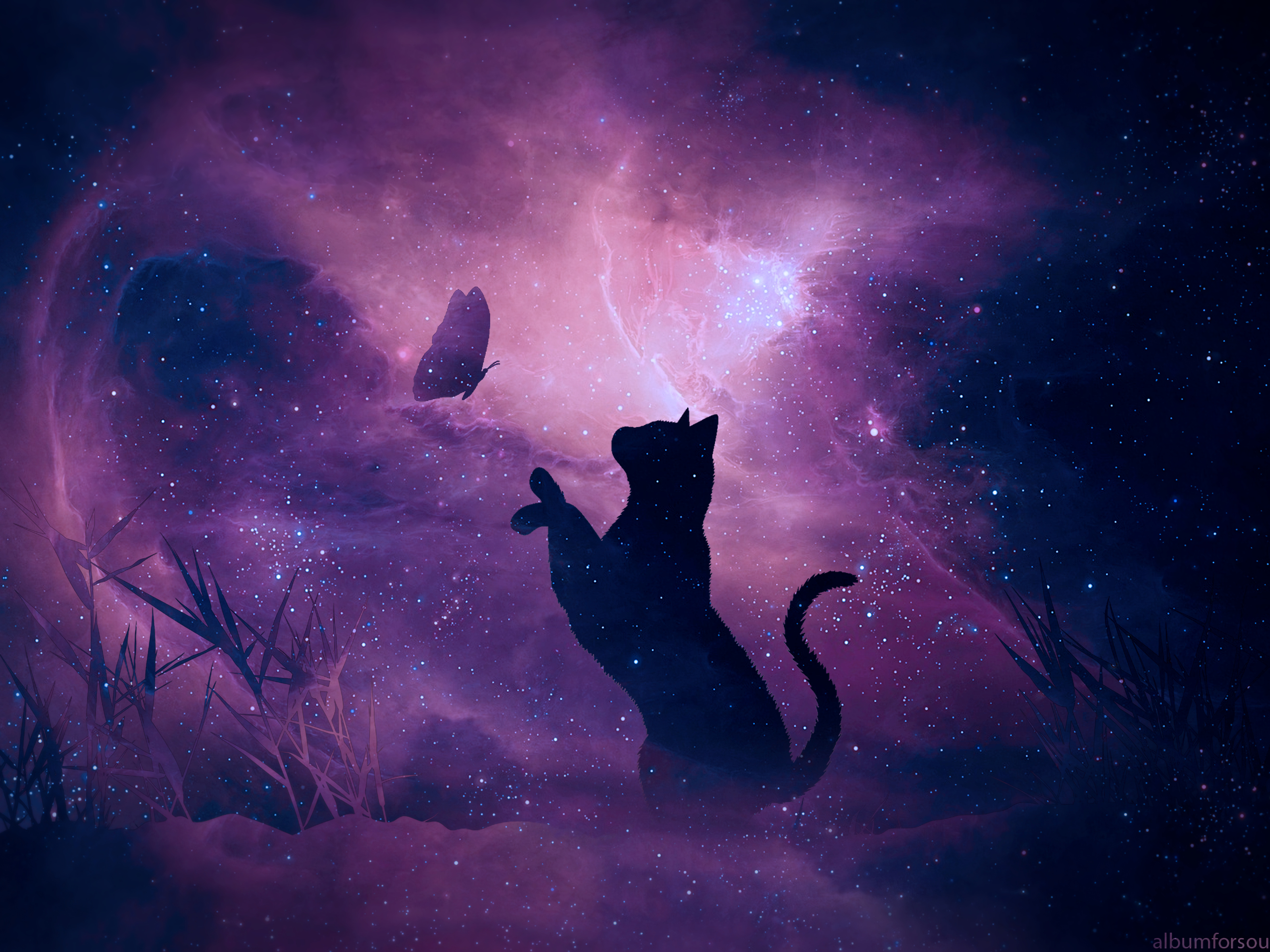 Download Thats one purrfectly awesome space cat Wallpaper  Wallpaperscom