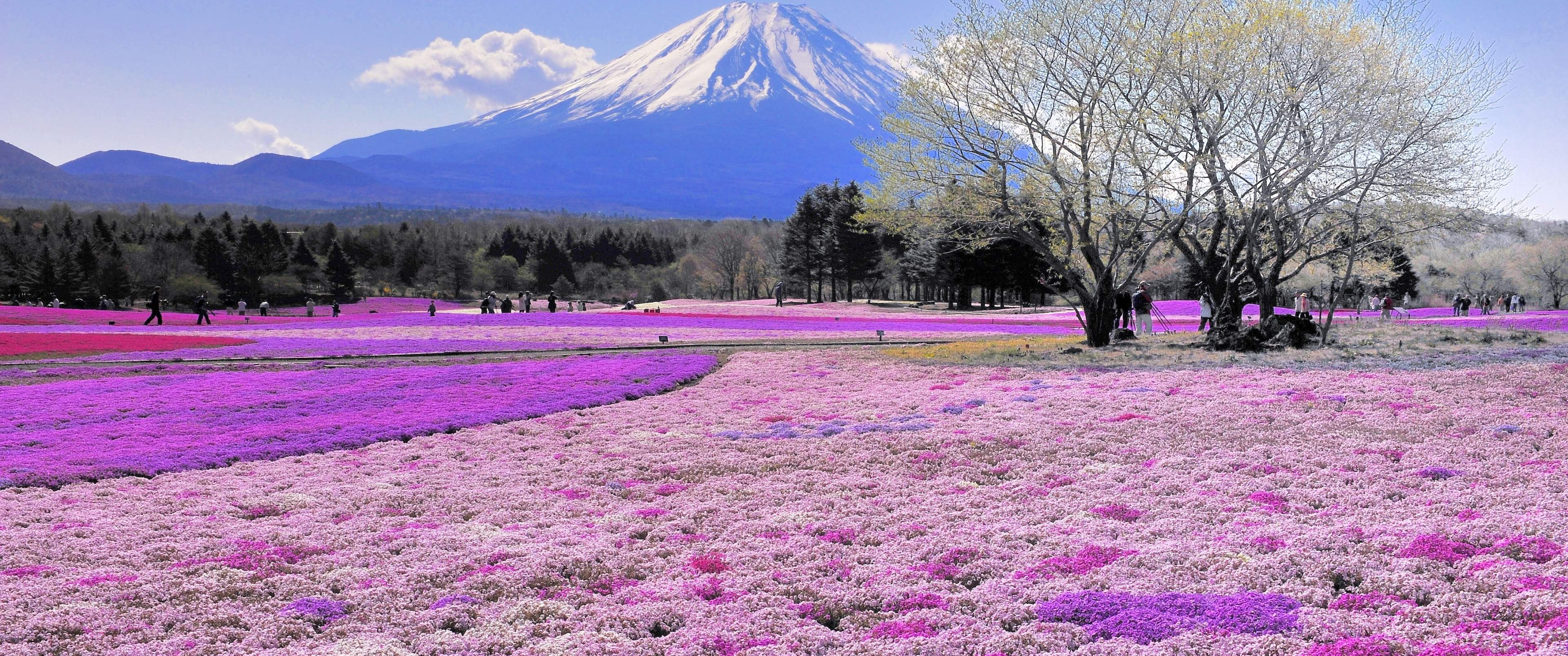 mountain landscape　山の風景 山頂の景色（栃木方面） Location : #群馬県 #奥白根山 date