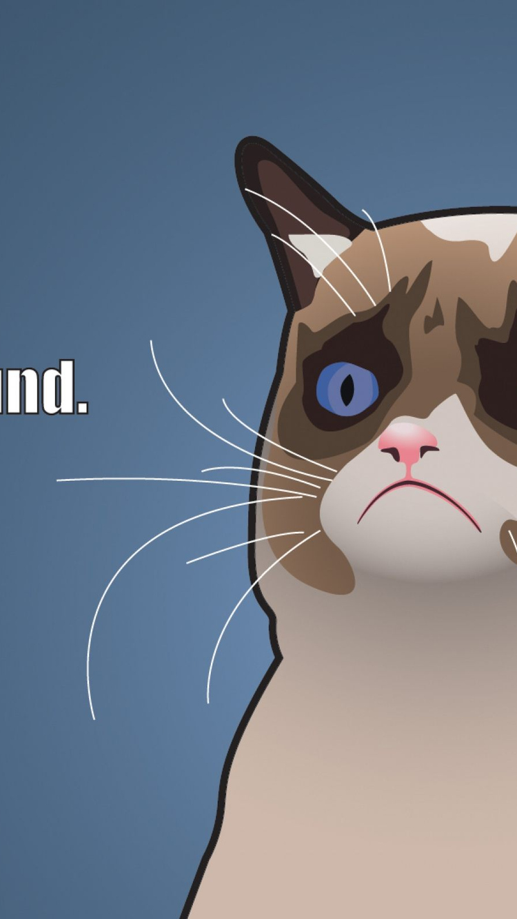 Download Angry Cat Meme Funny, Angry, Cat, Meme, Funny Wallpaper in  750x1334 Resolution