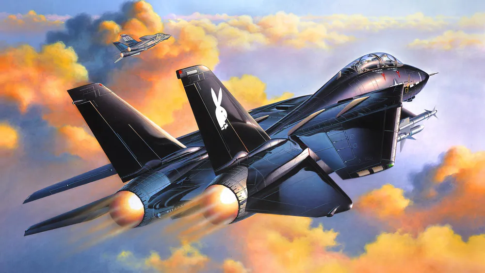 Обои F 14A Black Tomcat 360x640