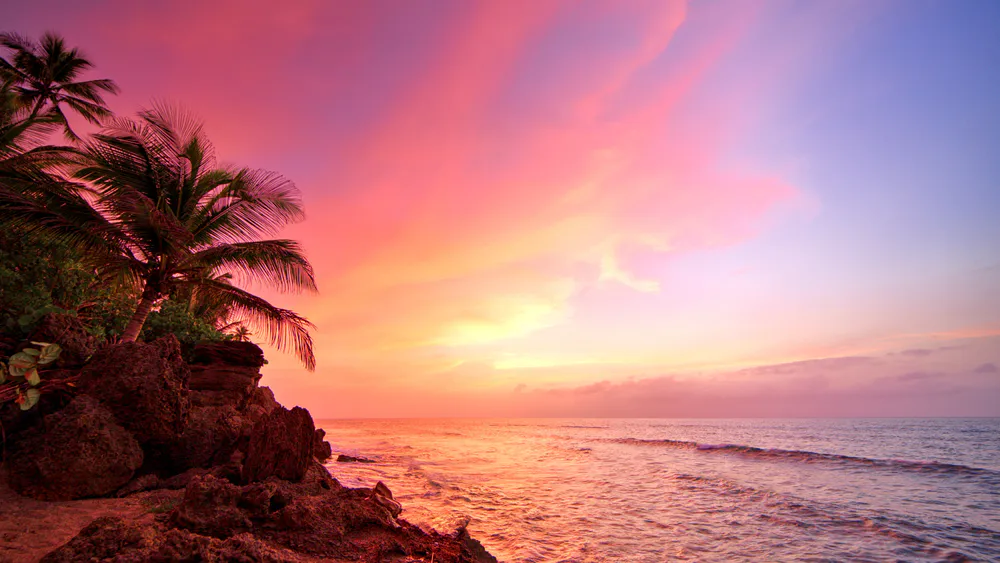 Обои Puerto Rico Rincon Sunset Ocean Palm Trees 480x640