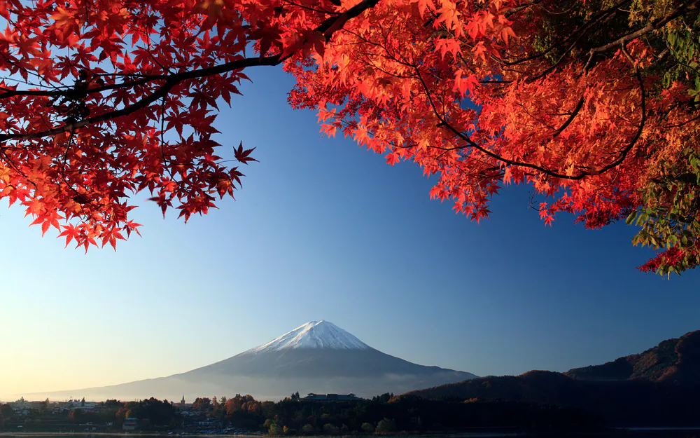 Wallpaper Mount Fuji Autumn Maple Japan 640x960