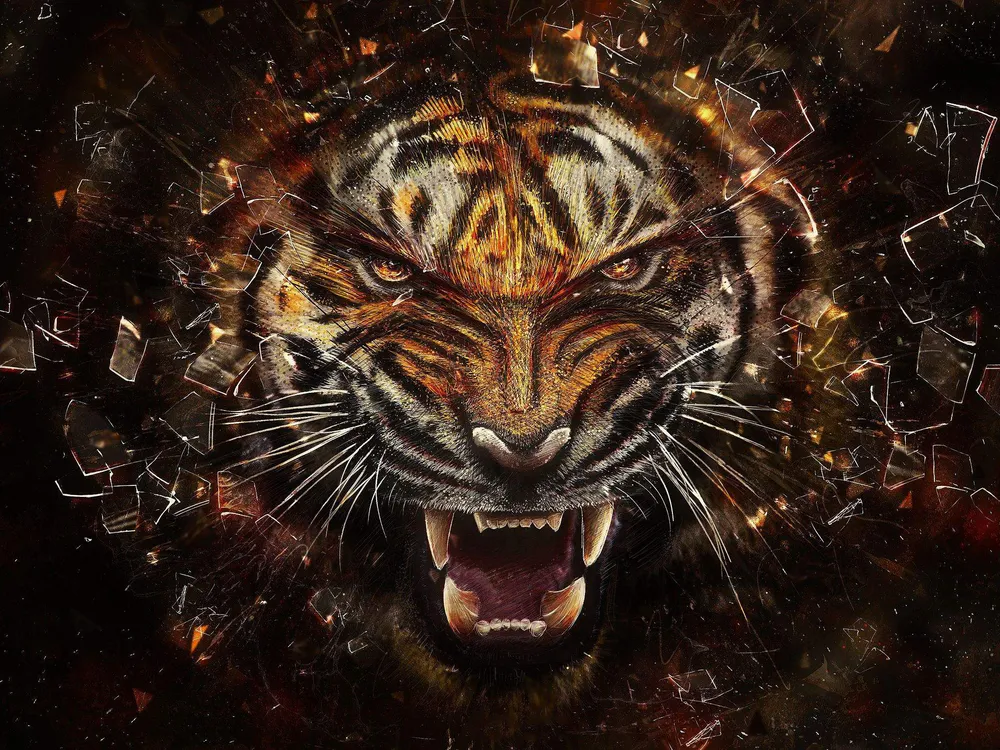 Обои Tiger Face Drawing Art 1280x720
