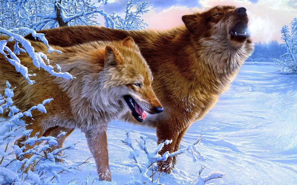 Обои Beautiful Wolf Art 1024x576