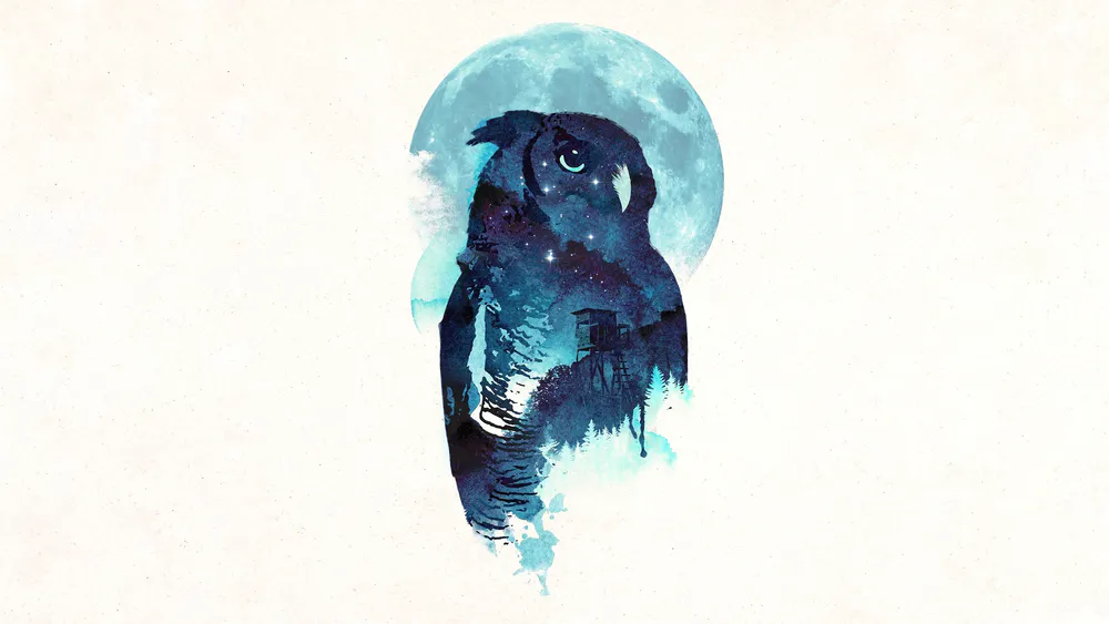 Wallpaper Midnight owl 1920x1200