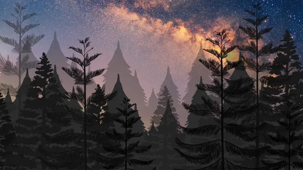 Wallpaper Forest night 1920x1080