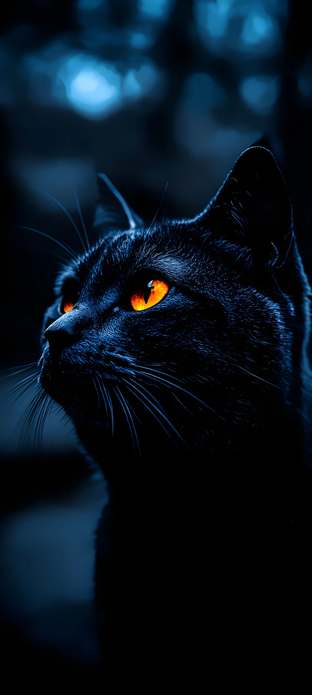 Wallpaper Black cat 1024x768